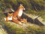 Ralph Waterhouse art print