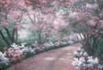 Diane Romanello art print
