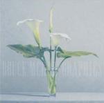 James Moore art print