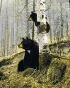 Michael Coleman art print