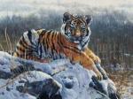 Matthew Hillier art print