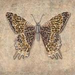 Jennette Brice art print