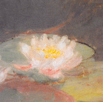 Claude Monet art print