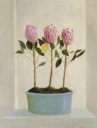 Mary Hunt art print