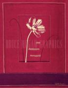 Gaelle Cicarda art print