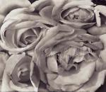 Tina Modotti art print