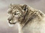 Kalon Baughan art print