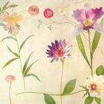Muriel Verger art print