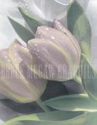 Susan Parslow art print