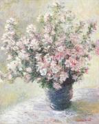 Claude Monet art print