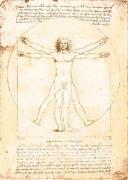 Leonardo da Vinci art print
