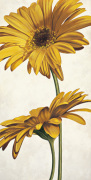 Eva Barberini art print