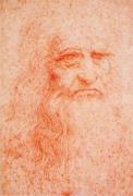 Leonardo da Vinci art print
