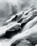 Monte Nagler art print
