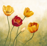 Maria Grazia Luffarelli art print