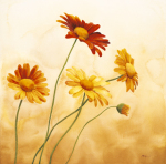 Maria Grazia Luffarelli art print