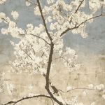 John Seba art print