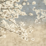John Seba art print