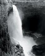 Monte Nagler art print