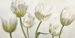 Eva Barberini art print