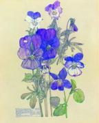 Charles Rennie Mackintosh art print