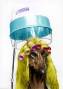 Regine Will art print