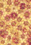 Elisabeth Heim art print