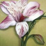 Rachel Deacon art print