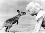 John Drysdale art print