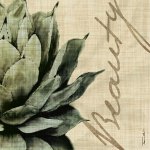 Tandi Venter art print