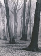 Albert Renger-Patzsch art print