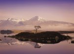Rod Edwards art print