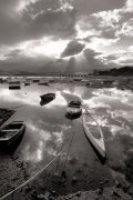 Marina Cano art print