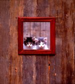 Bernd Schellhammer art print