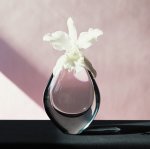Robert Mapplethorpe art print