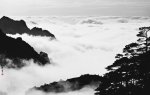 Wang Wusheng art print