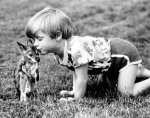 John Drysdale art print