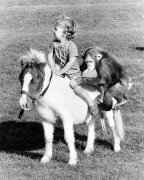 John Drysdale art print