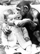 John Drysdale art print