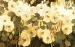 Ann Neate art print