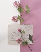 Deborah Schenk art print