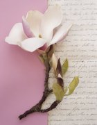 Deborah Schenk art print