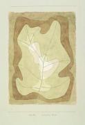 Paul Klee art print