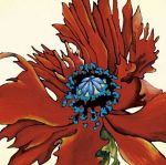 Lynn Kelly art print