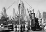 Todd Webb art print