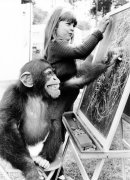 John Drysdale art print
