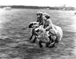 John Drysdale art print