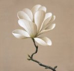 Brent Young art print