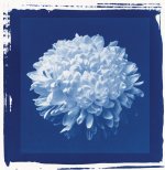 David Chow art print