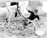 John Drysdale art print